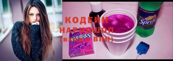 прущие грибы Вязники