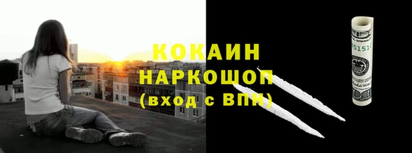 соль ск Горно-Алтайск