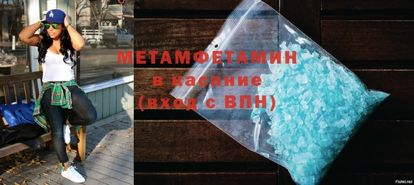 прущие грибы Вязники
